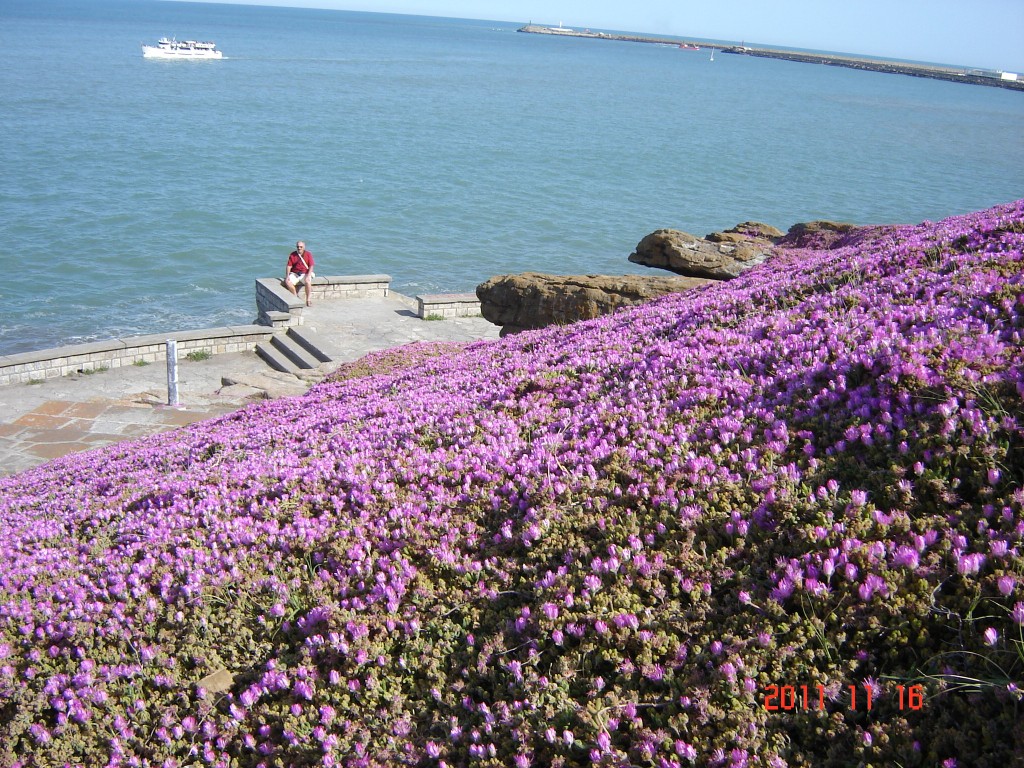 Foto: Playa chica - Mar del Plata (Buenos Aires), Argentina