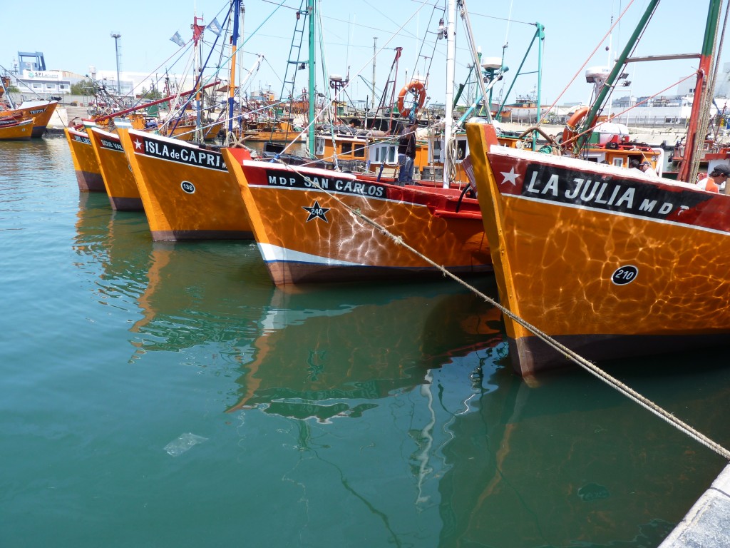 Foto: Puerto. - Mar del Plata (Buenos Aires), Argentina