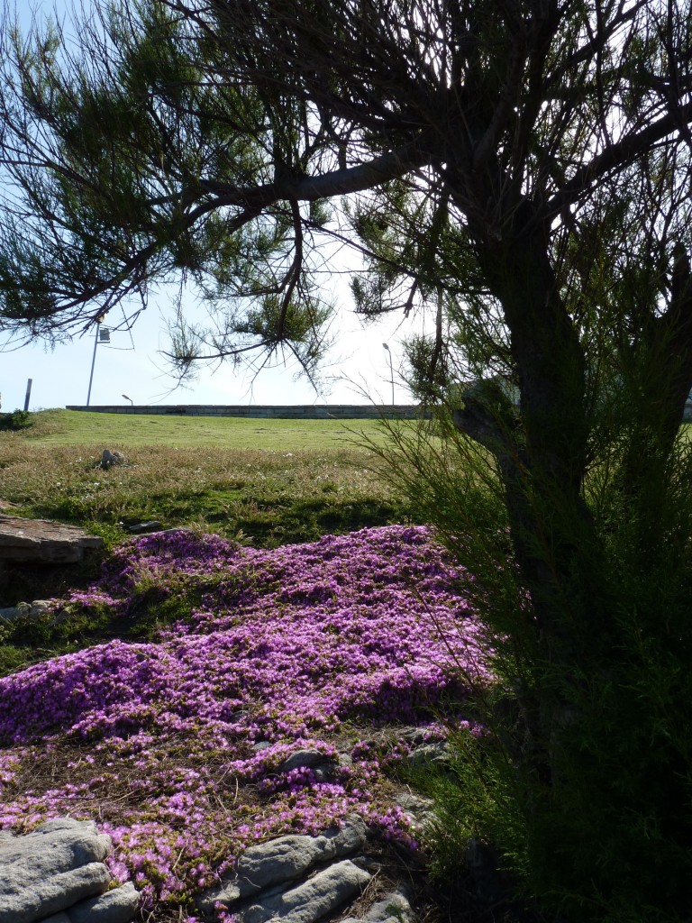 Foto: Playa chica - Mar del Plata (Buenos Aires), Argentina