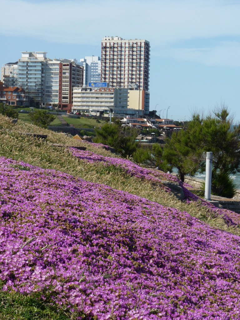 Foto: Playa chica - Mar del Plata (Buenos Aires), Argentina