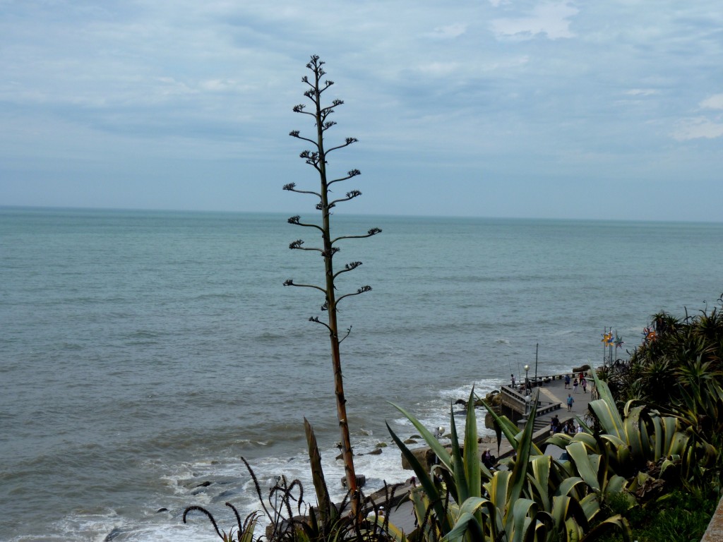 Foto: Punta Iglesia - Mar del Plata (Buenos Aires), Argentina