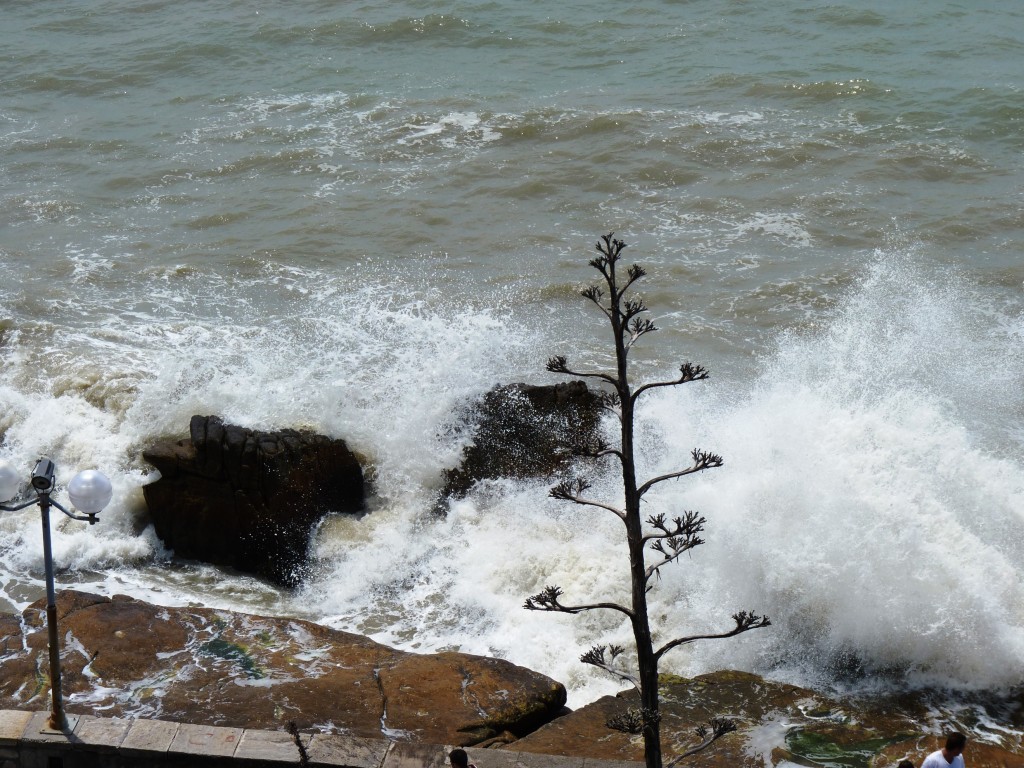 Foto: Punta Iglesia - Mar del Plata (Buenos Aires), Argentina