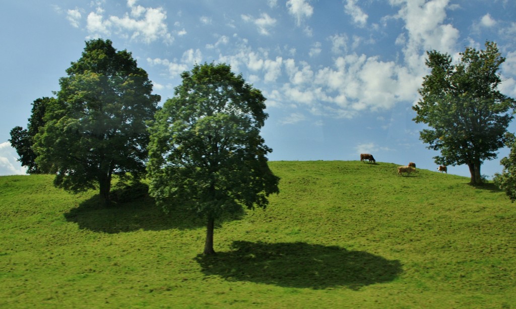 Foto: Paisaje de Baviera - Trauchgau (Bavaria), Alemania