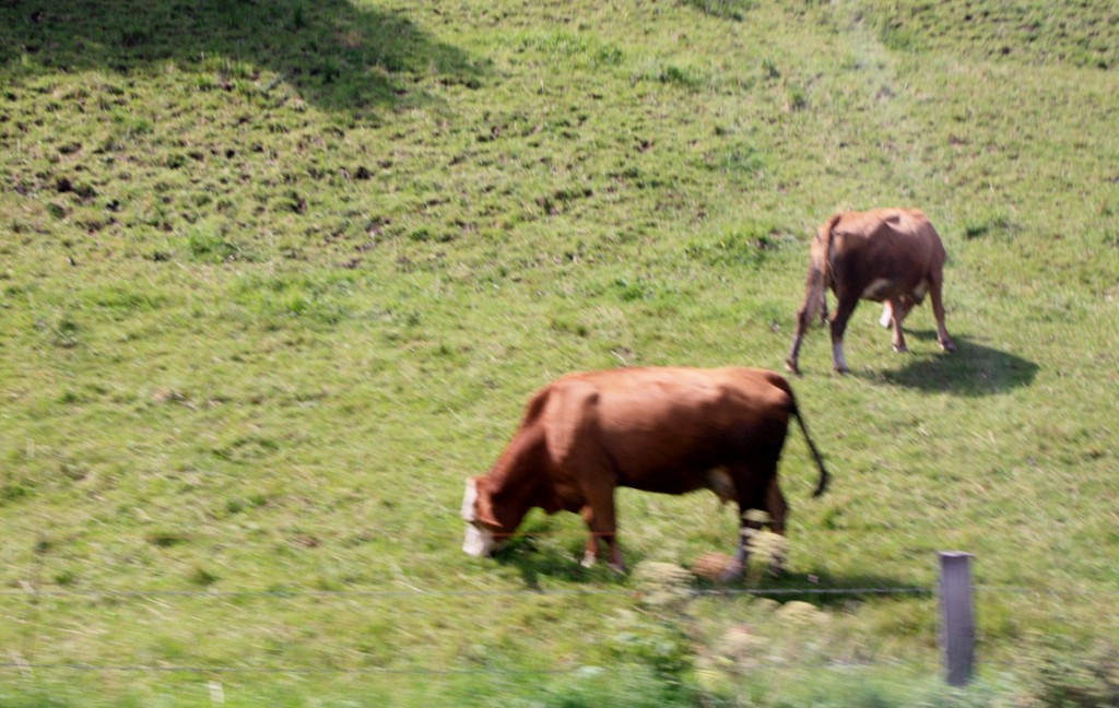 Foto: Paisaje de Baviera - Trauchgau (Bavaria), Alemania