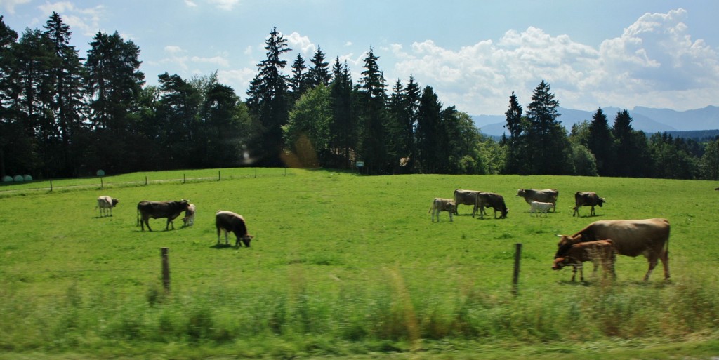 Foto: Paisaje de Baviera - Trauchgau (Bavaria), Alemania