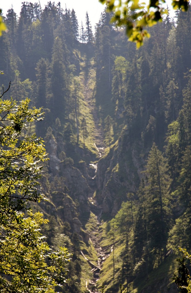 Foto: Paisaje de Baviera - Hohenschwangau (Bavaria), Alemania