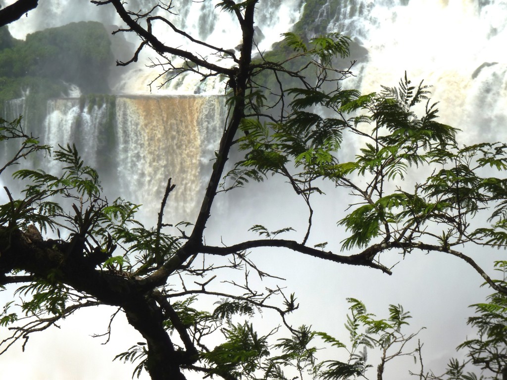 Foto: Salto San Martín - Iguazú (Misiones), Argentina