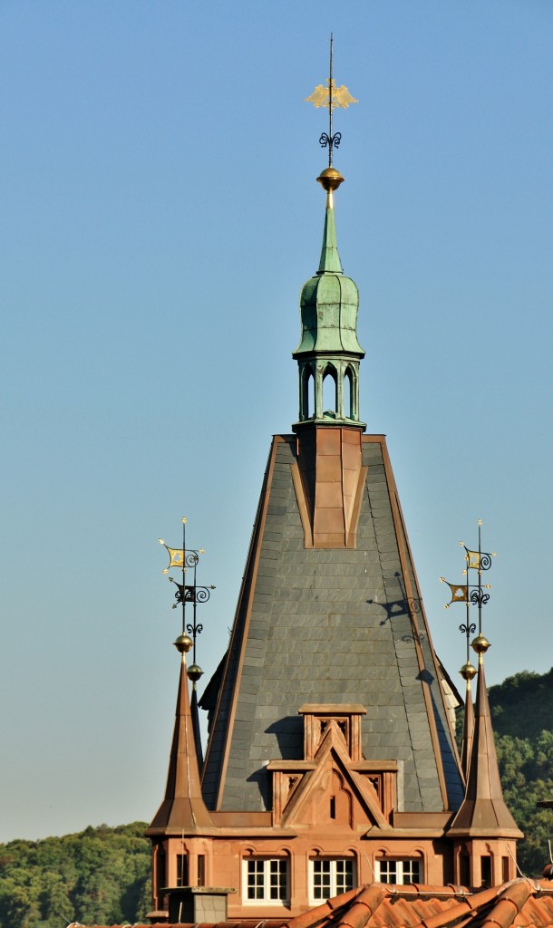 Foto: Vistas desde el castillo - Heidelberg (Baden-Württemberg), Alemania