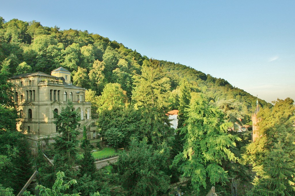 Foto: Vistas desde el castillo - Heidelberg (Baden-Württemberg), Alemania