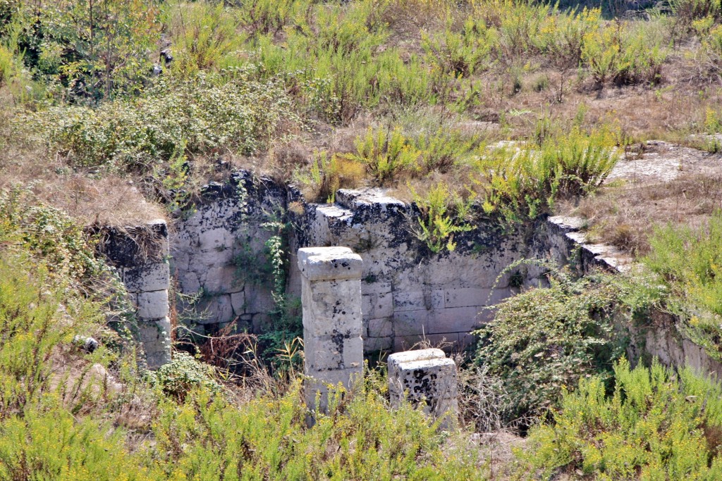 Foto: Anfiteatro romano - Siracusa (Sicily), Italia