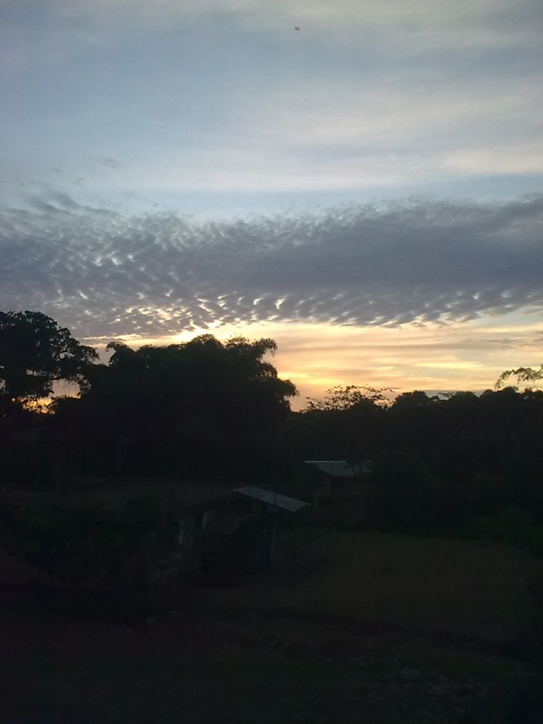 Foto: Amanecer - Puyo (Pastaza), Ecuador