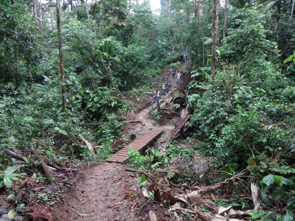 Foto: camino hacia las cavernas - Puyo (Pastaza), Ecuador