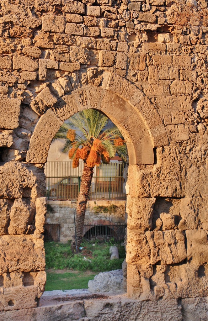 Foto: Templo de Apolo - Siracusa (Ortigia) (Sicily), Italia