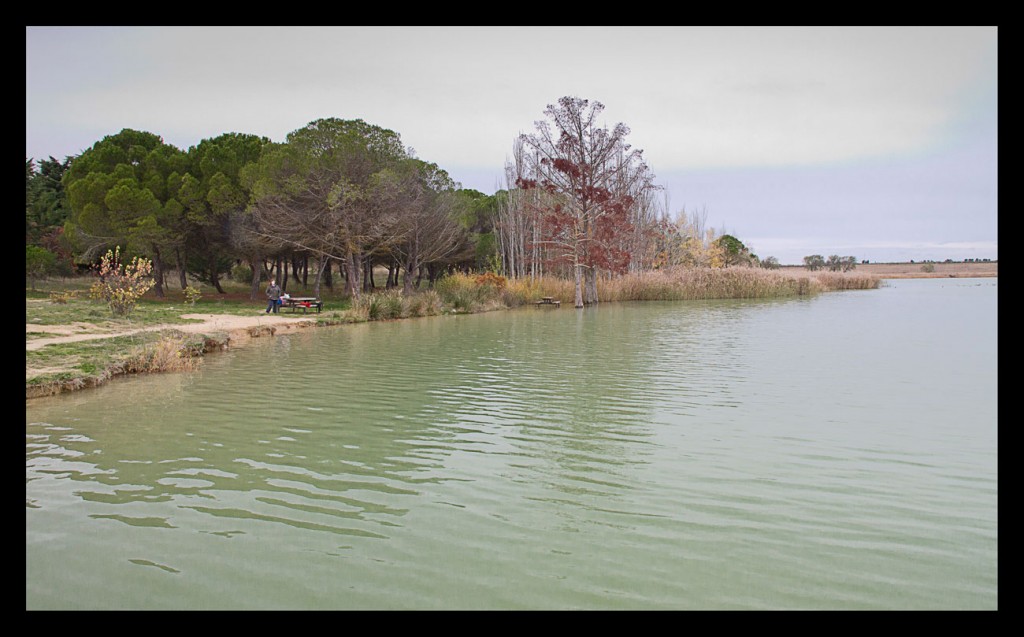 Foto de El Bolaso (Zaragoza), España