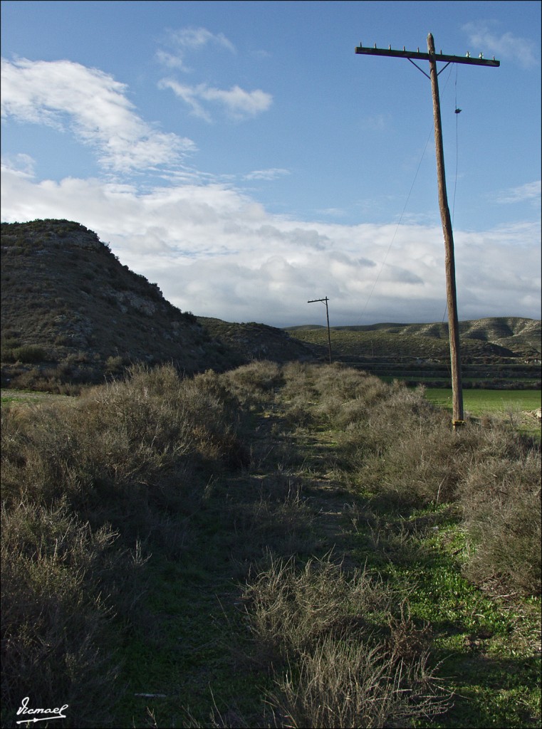 Foto: 60118-12 TORRECILLA - Zaragoza (Aragón), España