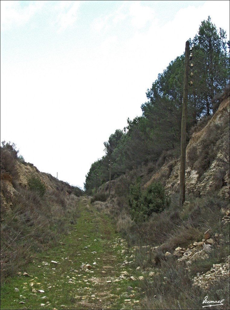 Foto: 60118-63 SALIDA TUNEL - Zaragoza (Aragón), España