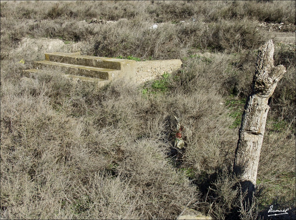 Foto: 60122-22 VALDEVACAS KM-115 - Zaragoza (Aragón), España