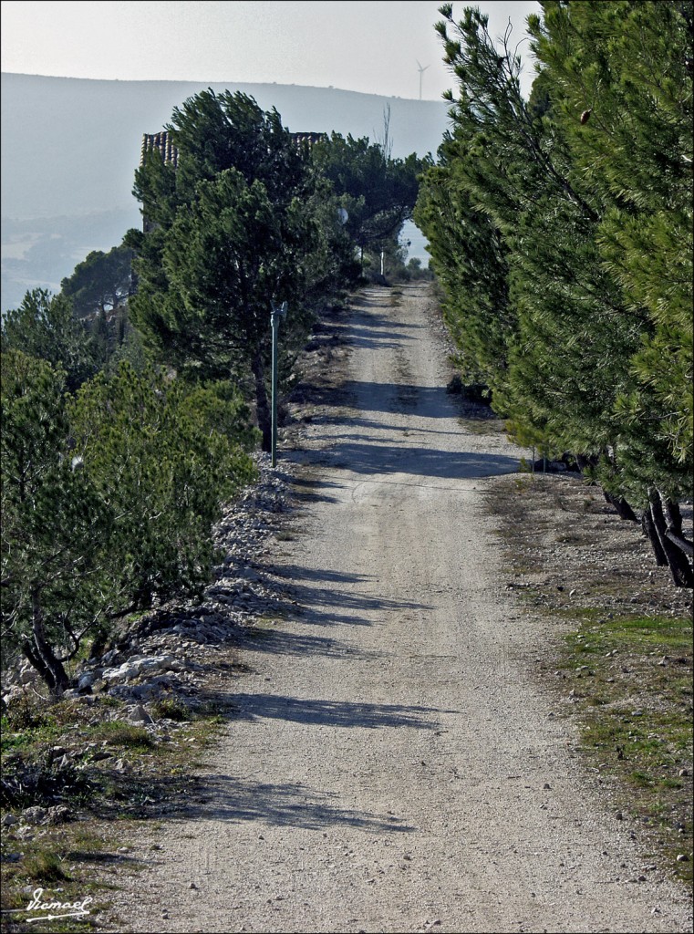 Foto: 60205-14 LA PRINCESA - Zaragoza (Aragón), España