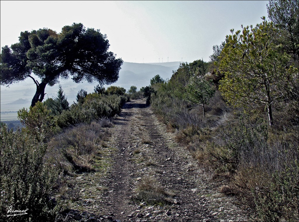 Foto: 60205-21 CAMINO LA PRINCESA - Zaragoza (Aragón), España