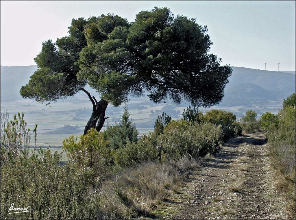 Foto: 60212-01 LA HERRADURA - Zaragoza (Aragón), España