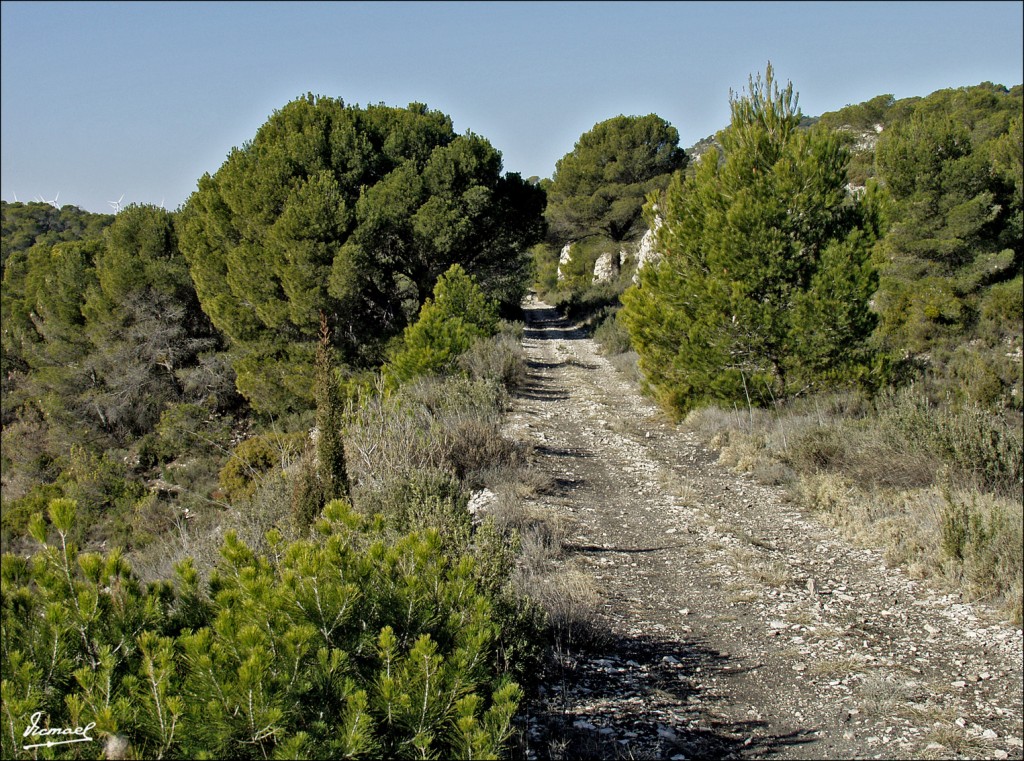 Foto: 60212-02 LA HERRADURA - Zaragoza (Aragón), España