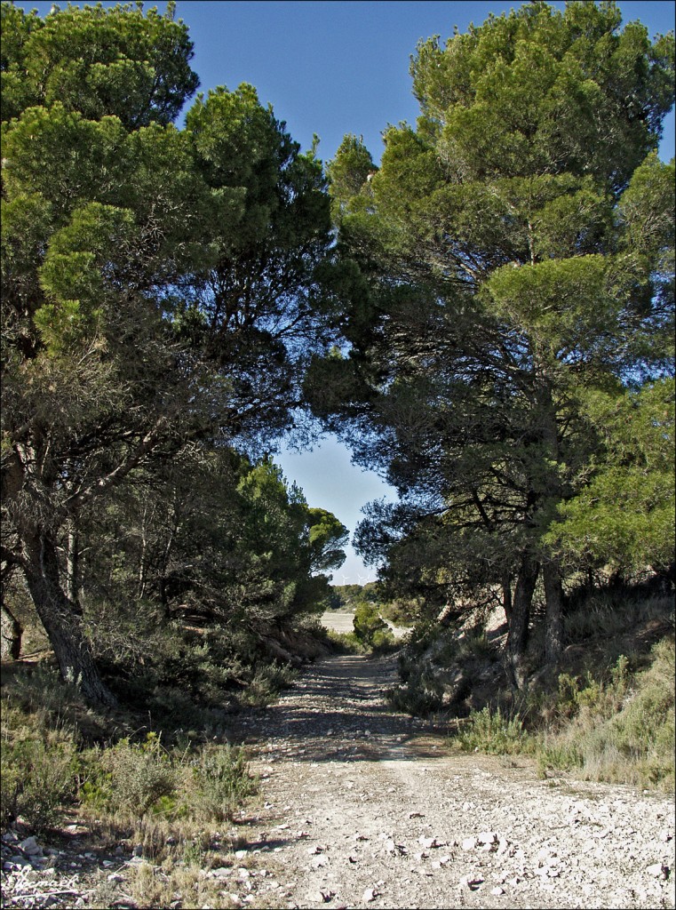 Foto: 60212-08 LA HERRADURA - Zaragoza (Aragón), España