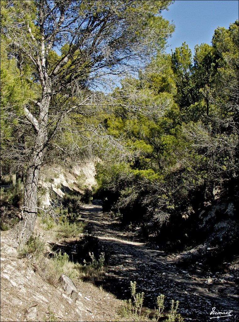 Foto: 60212-18 LA HERRADURA - Zaragoza (Aragón), España