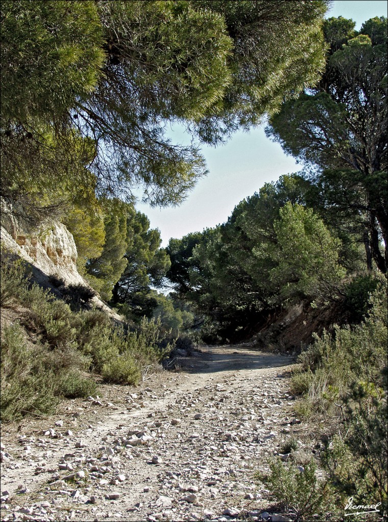 Foto: 60212-25 LA HERRADURA - Zaragoza (Aragón), España