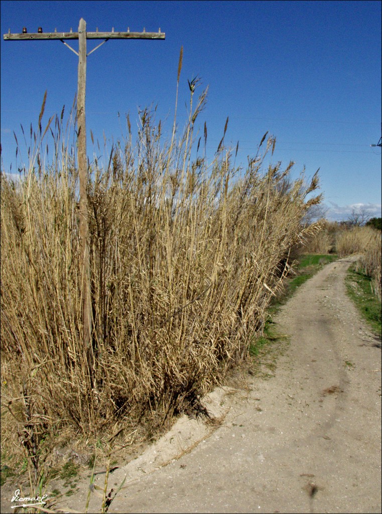 Foto: 60312-13 FFCC UTRILLAS - Zaragoza (Aragón), España