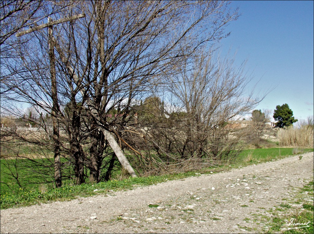 Foto: 60312-15 FFCC UTRILLAS - Zaragoza (Aragón), España