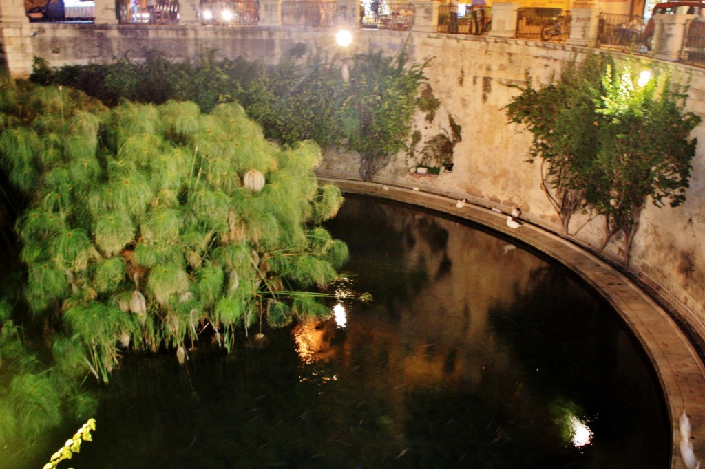 Foto: Fuente Aretusa - Siracusa (Ortigia) (Sicily), Italia