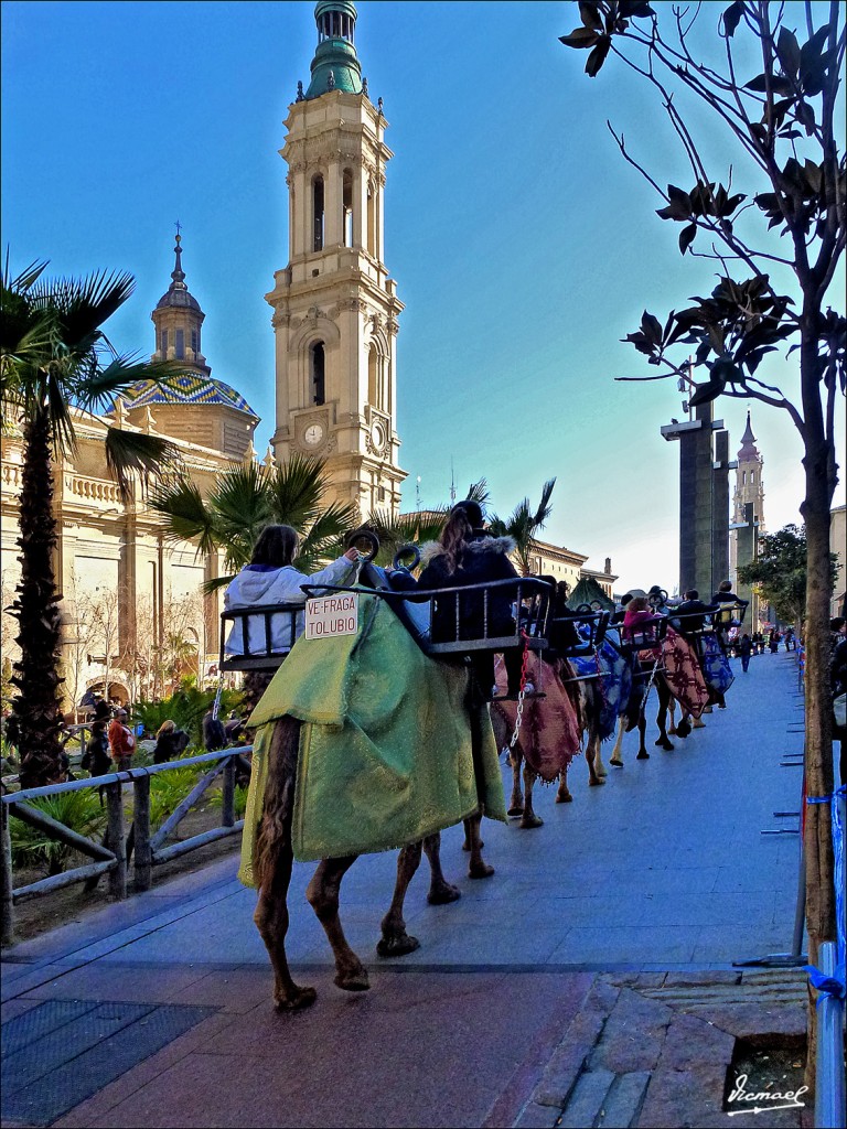 Foto: 111208-40 PLAZA DEL PILAR - Zaragoza (Aragón), España