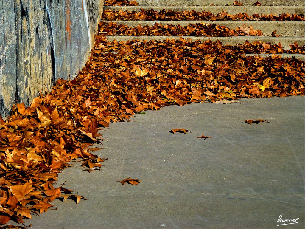 Foto: 111218-16 PARQUE DELICIAS - Zaragoza (Aragón), España