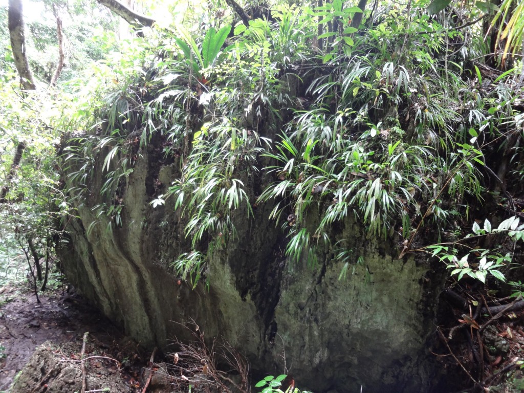 Foto: Piedra - Puyo, Chuvitayu (Pastaza), Ecuador