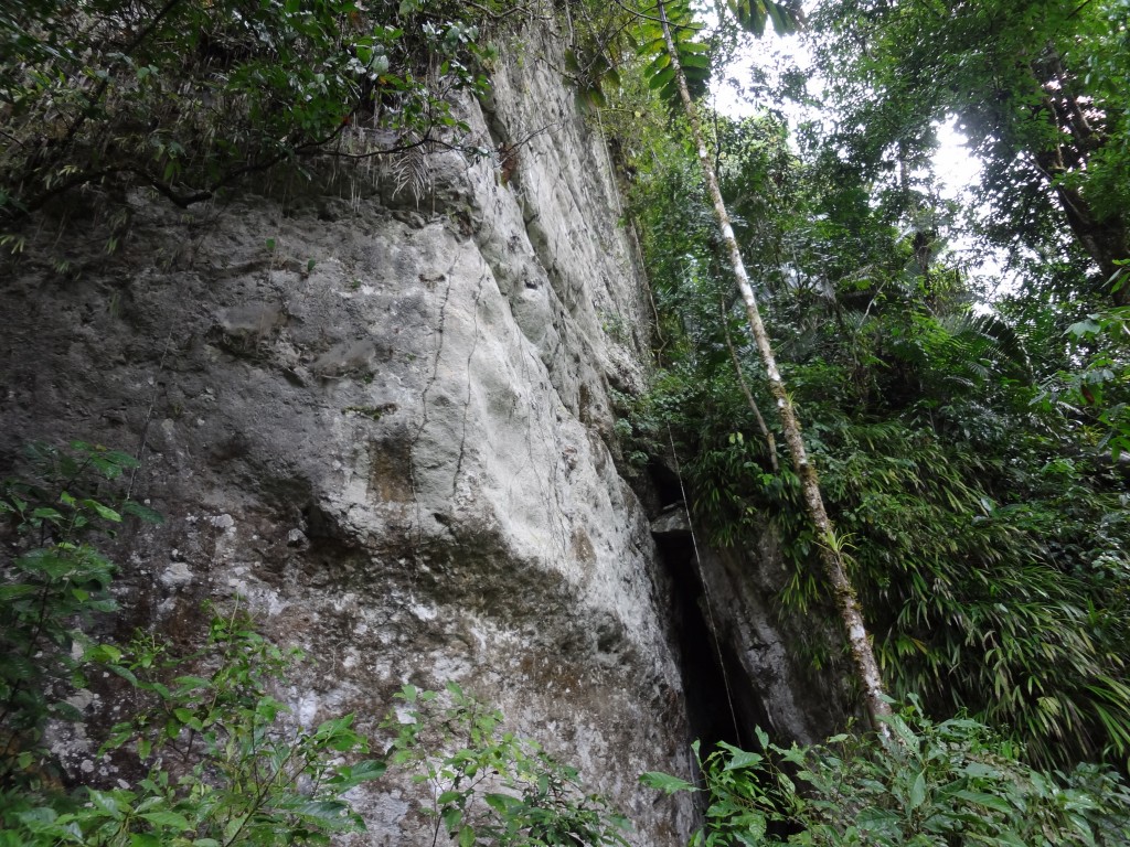 Foto: Montaña de piedra - Puyo, Chuvitayu (Pastaza), Ecuador