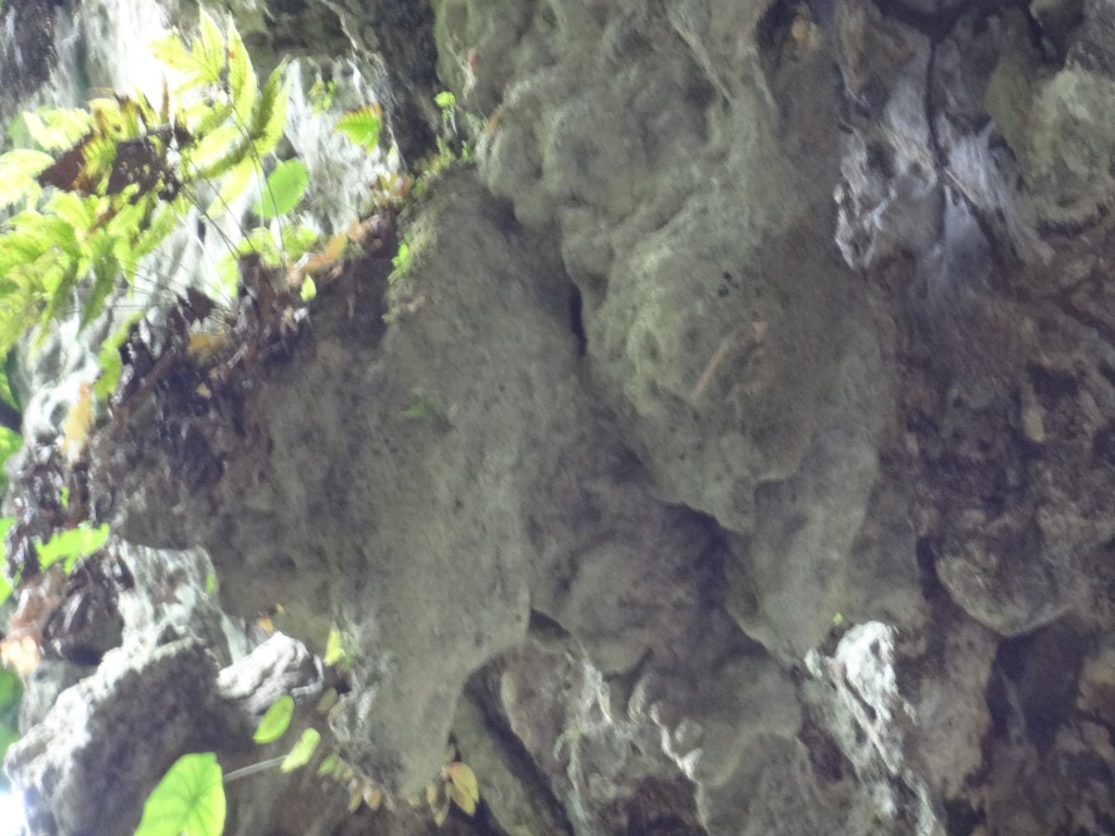 Foto: Montaña de piedra - Puyo, Chuvitayu (Pastaza), Ecuador