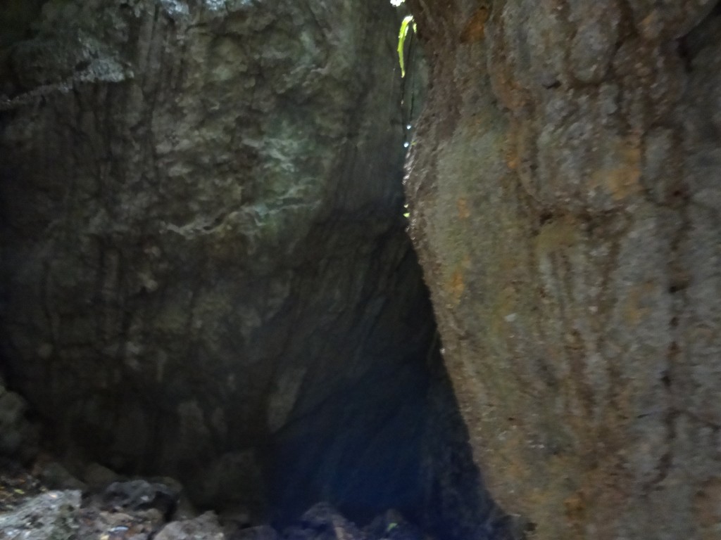 Foto: Antes de entrar a la cueva. - Puyo, Chuvitayu (Pastaza), Ecuador