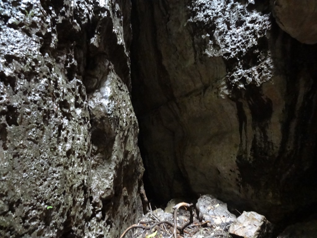 Foto: Dentro de la cueva - Puyo, Chuvitayu (Pastaza), Ecuador