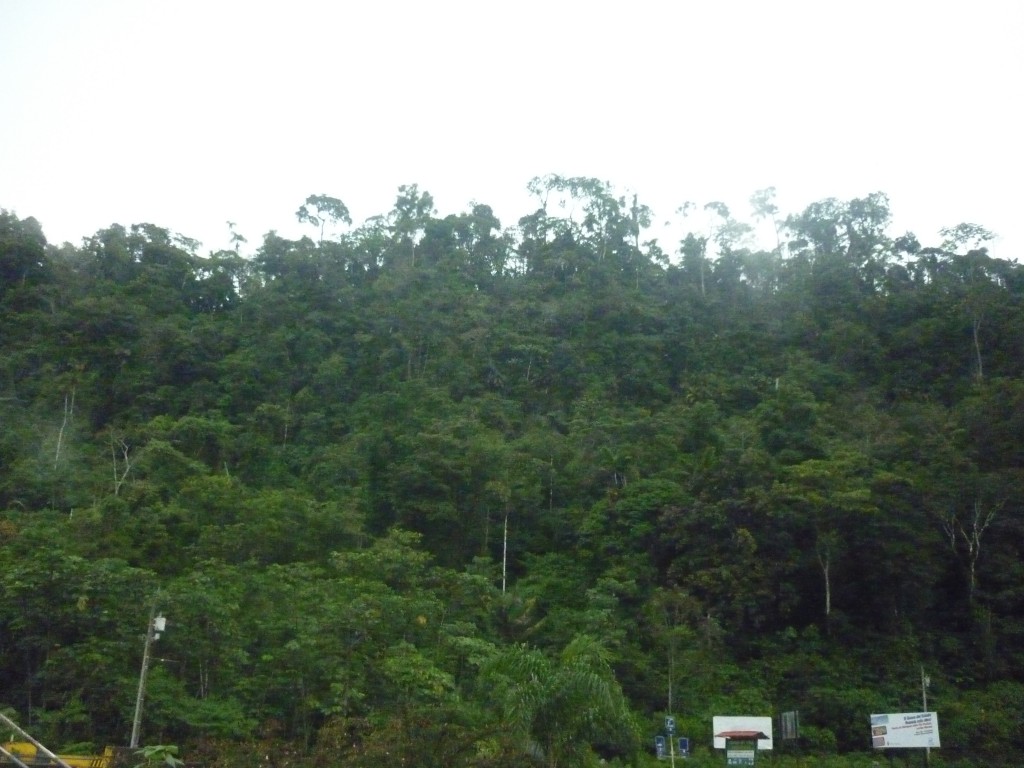 Foto: Vista al río Pastaza - Puyo, Chuvitayu (Pastaza), Ecuador