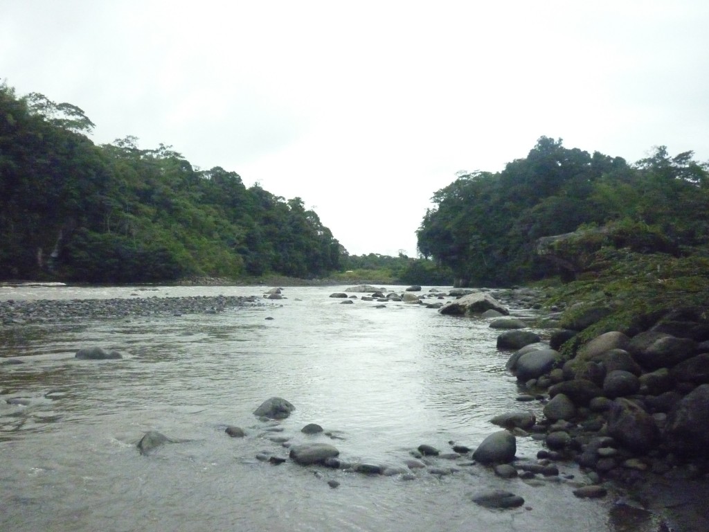 Foto: Rio Pastaza - Puyo-Chuvitayu (Pastaza), Ecuador