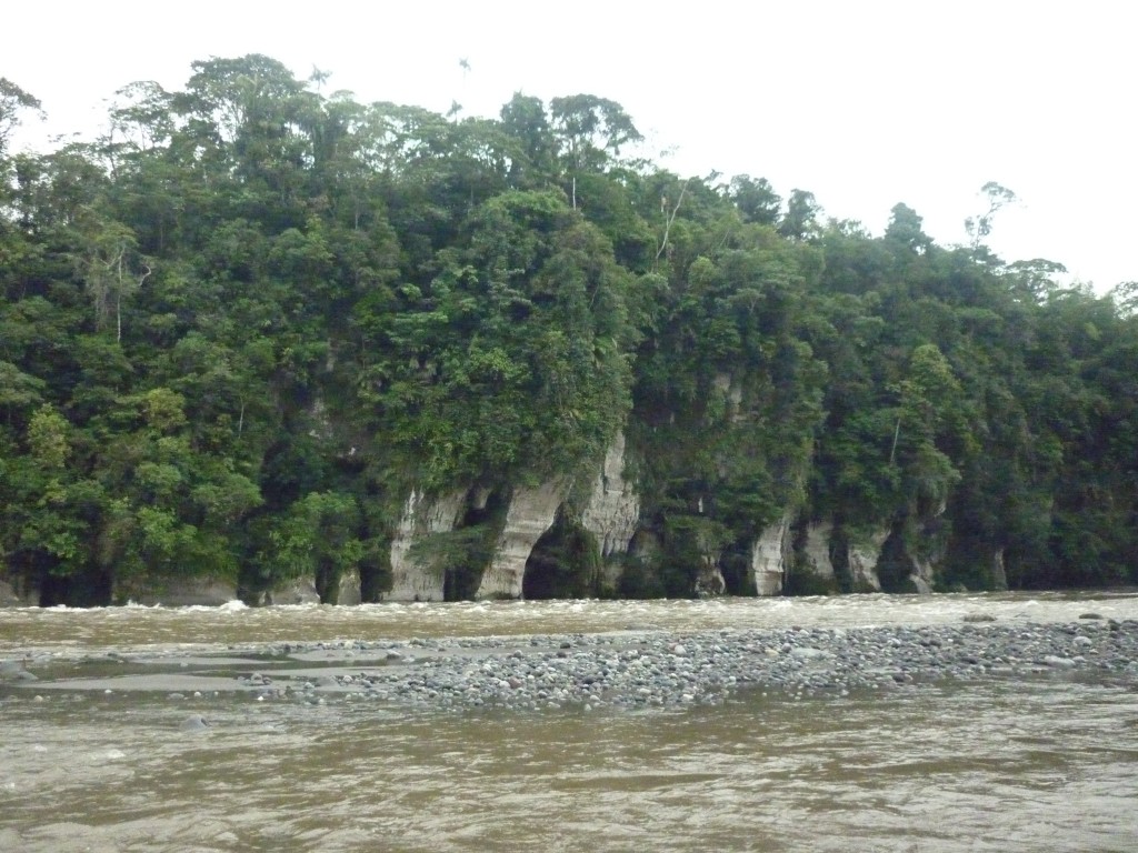 Foto: Rio Pastaza - Puyo-Chuvitayu (Pastaza), Ecuador