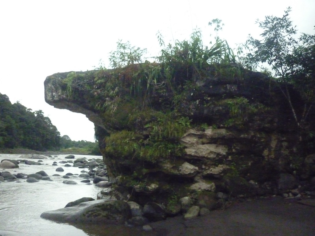 Foto: Roca - Puyo-Chuvitayu (Pastaza), Ecuador