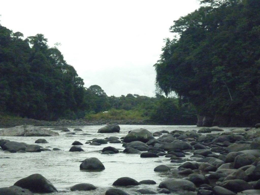 Foto: Rio Pastaza - Puyo-Chuvitayu (Pastaza), Ecuador