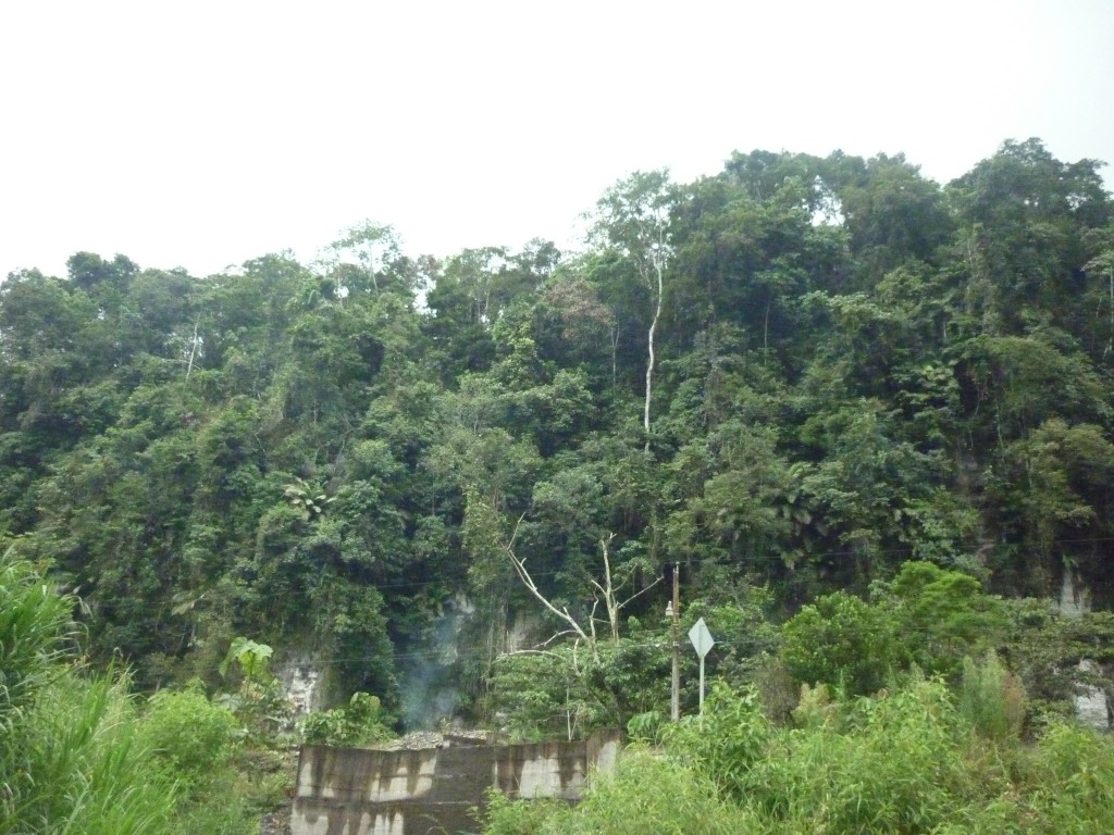 Foto: Paisaje - Puyo-Chuvitayu (Pastaza), Ecuador