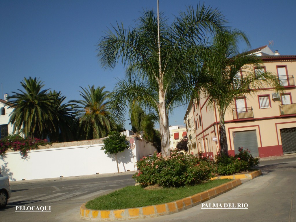 Foto de Palma Del Rio (Córdoba), España