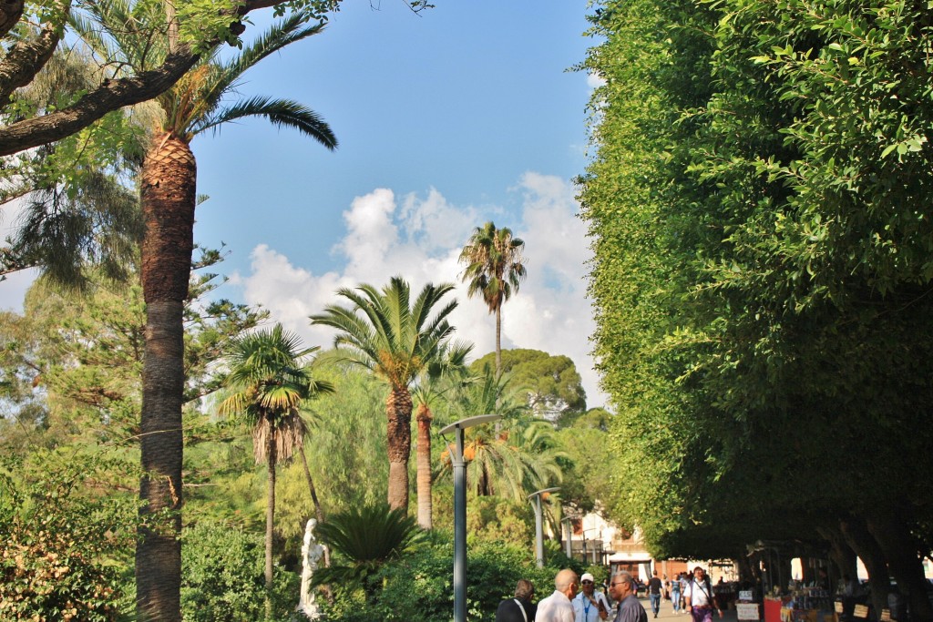 Foto: Parque - Noto (Sicily), Italia