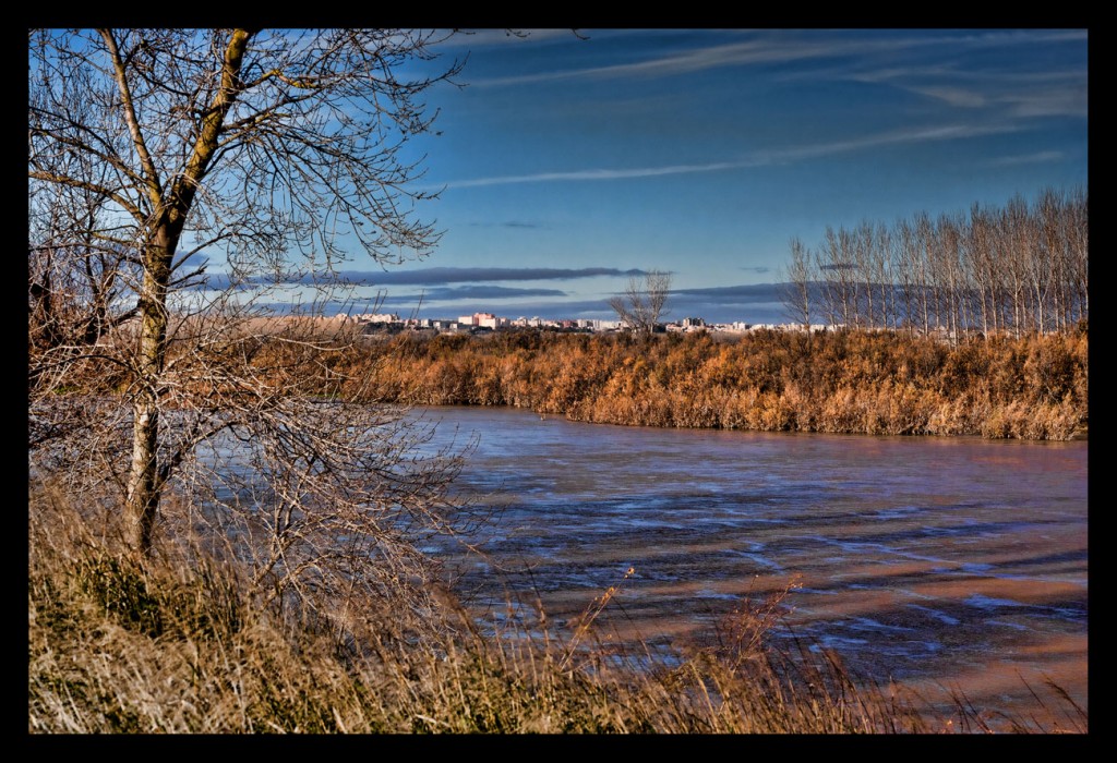 Foto: Riberas del Ebro - Zaragoza (Aragón), España