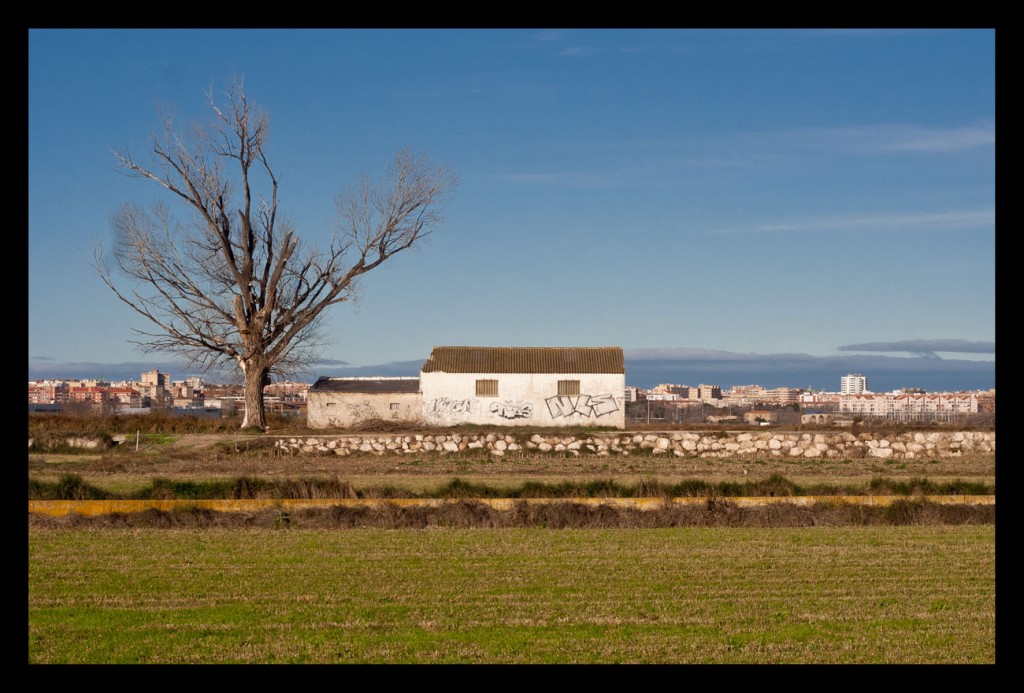 Foto: Riberas del Ebro - Zaragoza (Aragón), España