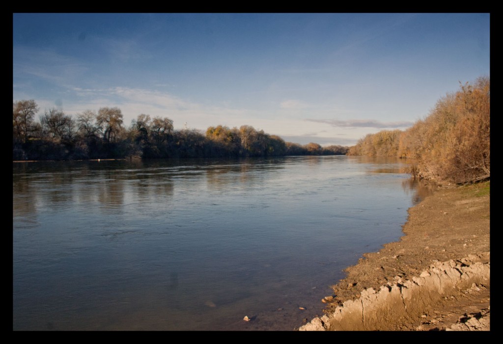 Foto: Riberas del Ebro - Zaragoza (Aragón), España