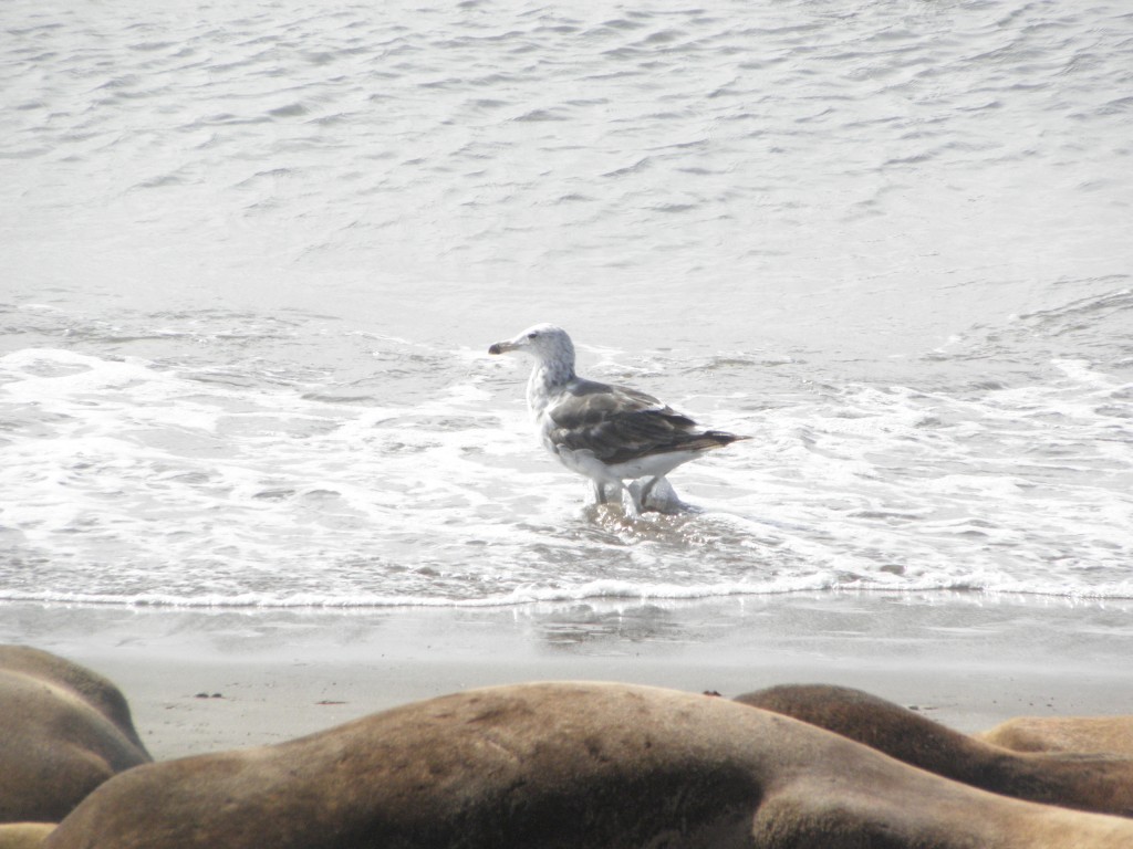 Foto: Puerto - Mar del Plata, Argentina